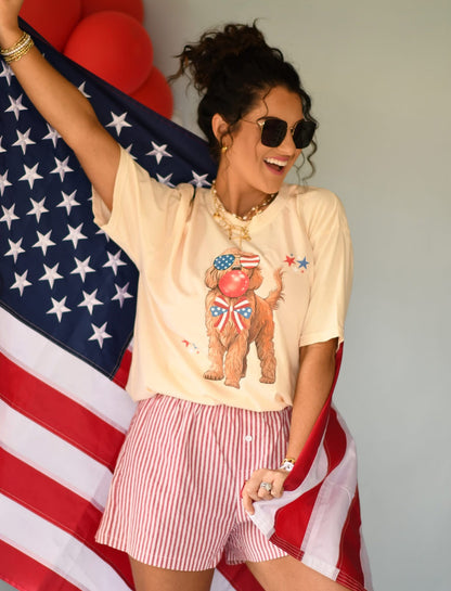 Patriotic Doodle
