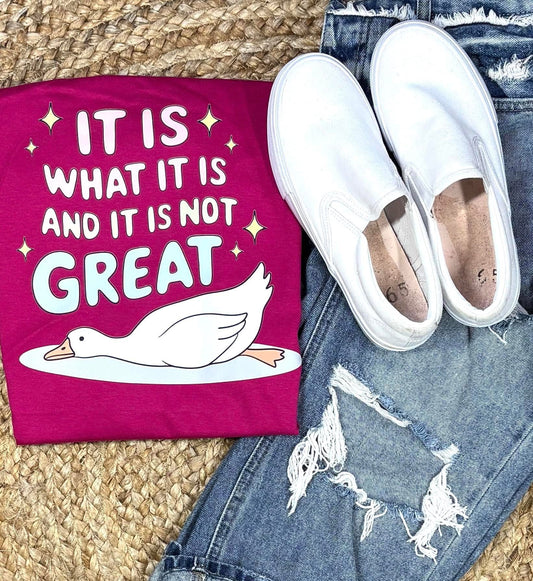 It Is What It Is & It Is Not Great