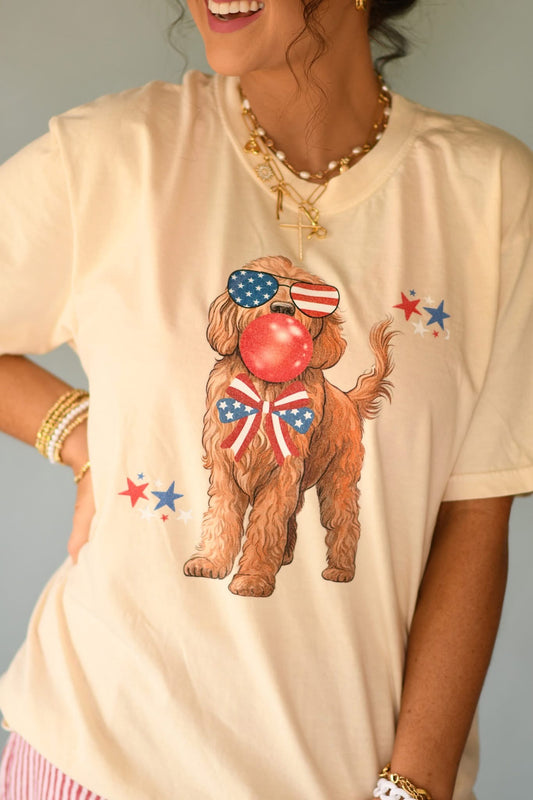 Patriotic Doodle