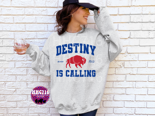 Destiny Is Calling
